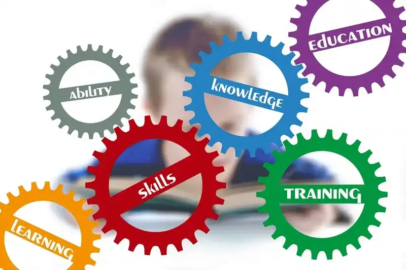 Memory Skills: Remembering Vocabulary and Idioms